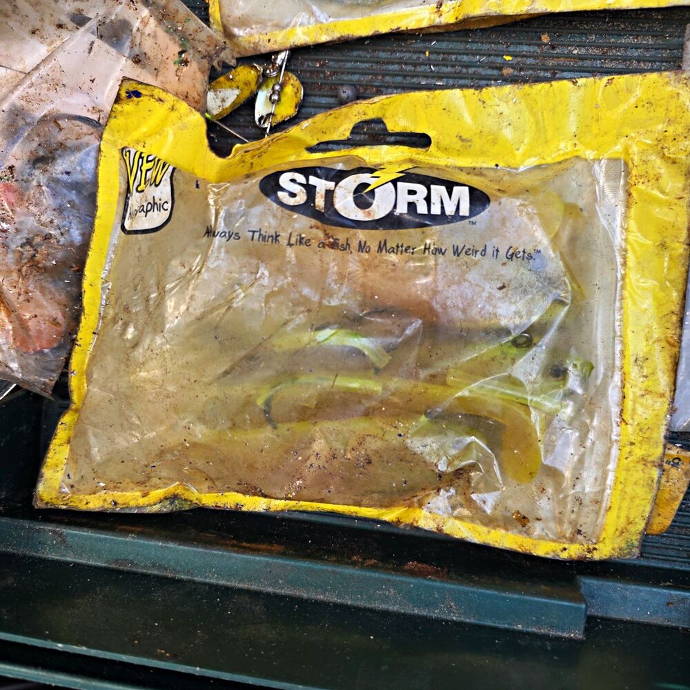 Storm WildEye Live Shad Swimbait 5in 1/2oz Multicolor Plastic 2-Pack